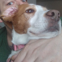 Chris Mccoy