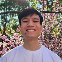 Minh-Huy Vu-Tran
