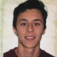 Vinicius Melo Alves