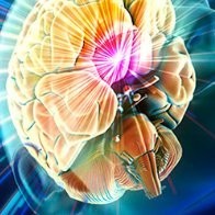 Lisa Brock