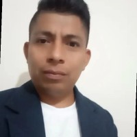 wilson Bravo