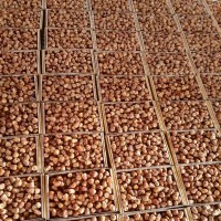 محمد اولادعبدالسلام