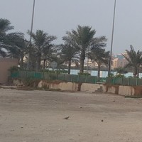 Mohammed Ahmed