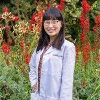 Kyoka Koroku