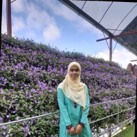 Siti Nor Fatin