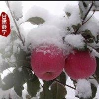 崔云飞