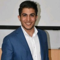 Shervin Bashirigoodarzi