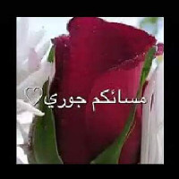 Fadi Alibrahim
