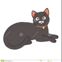Catstarmi Yee