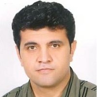 Arman lotfi