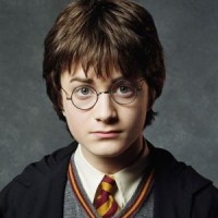 Harry Maria Boxer