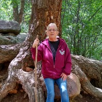 Peggy Searles