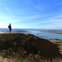 Hugo Ferrando Mollà