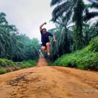 Mahmud Mulia Harahap