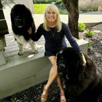 Carol Fricke