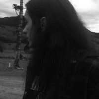 Gustavo Morfim Querino