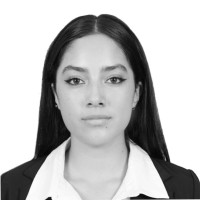 Yoselinne Mendoza Mendoza