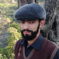 Syed Majid Ali Shah