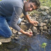 mohamad shakeib
