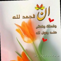 Arham Mughal