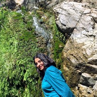 Nagarathna P