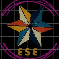 EVEREST SERVICES ENTERPRISES