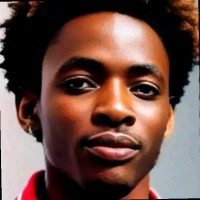 VIN LINK VENTURES AUTO PARTS