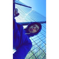 hamza seddik