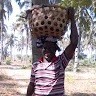 Gothard Mwango