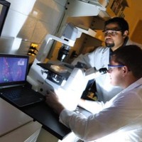 Zachary Lyles, Phd