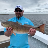 John Gaudet