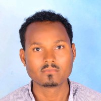 Temesgen Molla