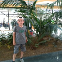 mahamad murshed