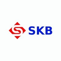 GRUPA SKB