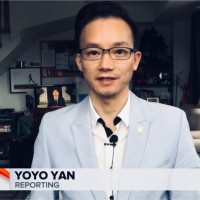 Yoyo Yan