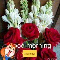 Yogendra Kumar Dixit