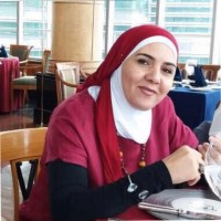 Narmeen Zerini