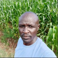 Evans Kimutai