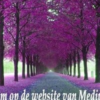 Praktijk het lichtpunt