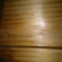 Hachani Brahim