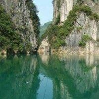 陈良志