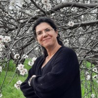 Meirav Gan