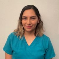 Kenia Tenorio-Palacios Bsn, Rn