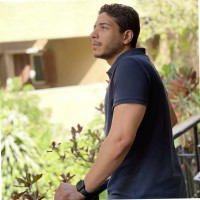 Amr Mohsen El Melegy