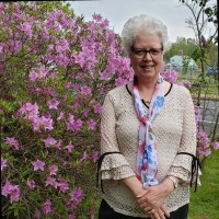 Linda Huff
