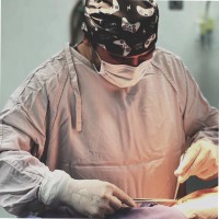 Dr Luis Fernando Castañares Morales