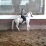 vitor manso