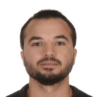 Ismail Turkyilmazoglu