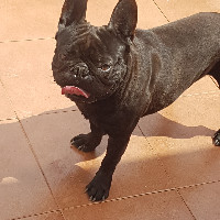 ismael duran martinez