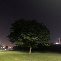 Strong Park